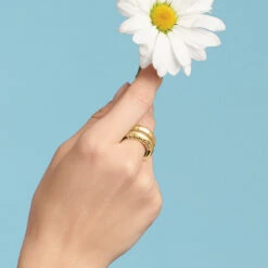 Inner Circle Double Ring -Brighton Handbags Outlet Store inner circle double ring gold 2