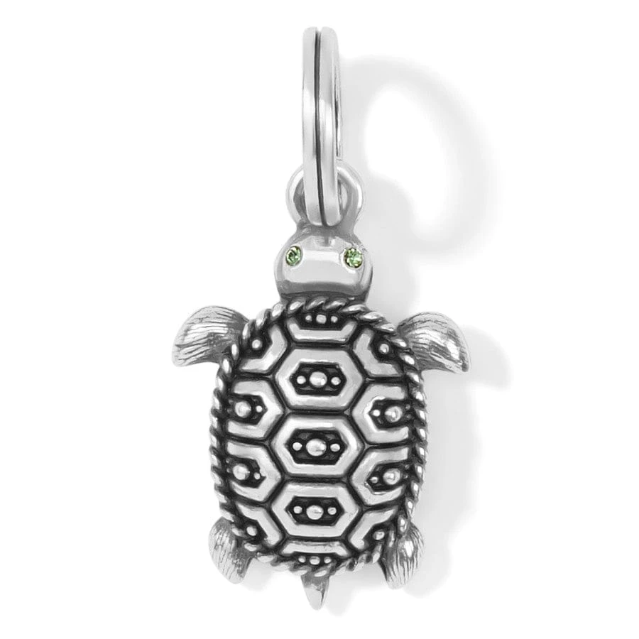 Pismo Turtle Charm 1 Pismo Turtle Charm